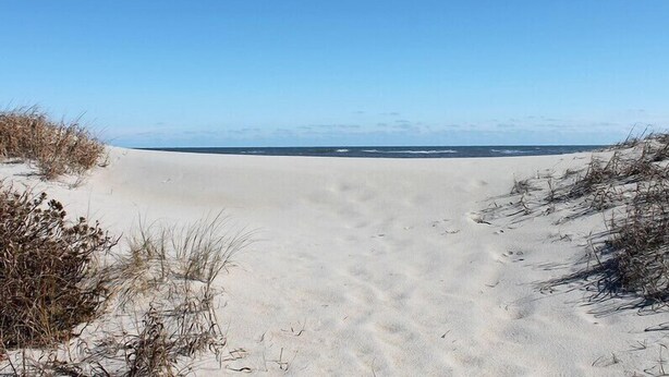 Una playa arenosa con dunas y un cielo azul despejado.