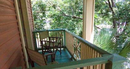 Beautiful Home in Historic Neighborhood