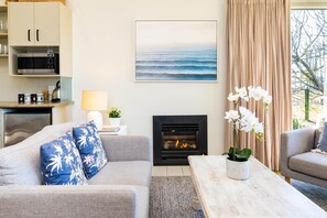 TV, fireplace, DVD player