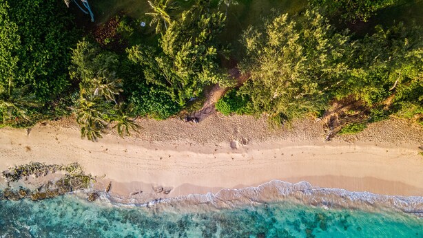 An aerial view of a beach with clear turquoise waters, sandy shore, and dense green foliage. - 30 day Perfect “BEACHFRONT “ Getaway! Steps to the beach through the backyard (Laie)