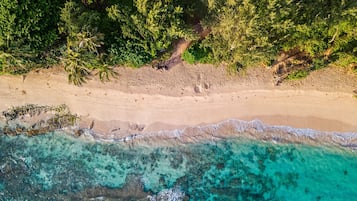 Plage à proximité, chaises longues, parasols, serviettes de plage