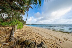Beach nearby, sun loungers, beach umbrellas, beach towels