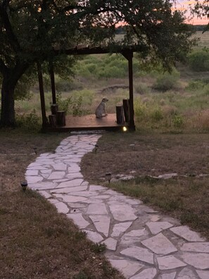 Parco della struttura