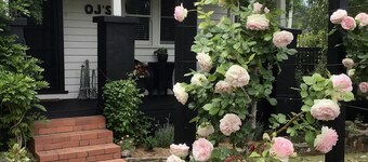 OJ's - lusso di ispirazione francese