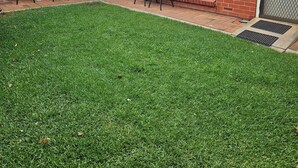 A house with a red brick exterior, a front door, and a small front yard with a lawn and two chairs.