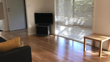 Smart TV, DVD player, books, stereo