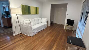 Smart TV, DVD player, books, stereo