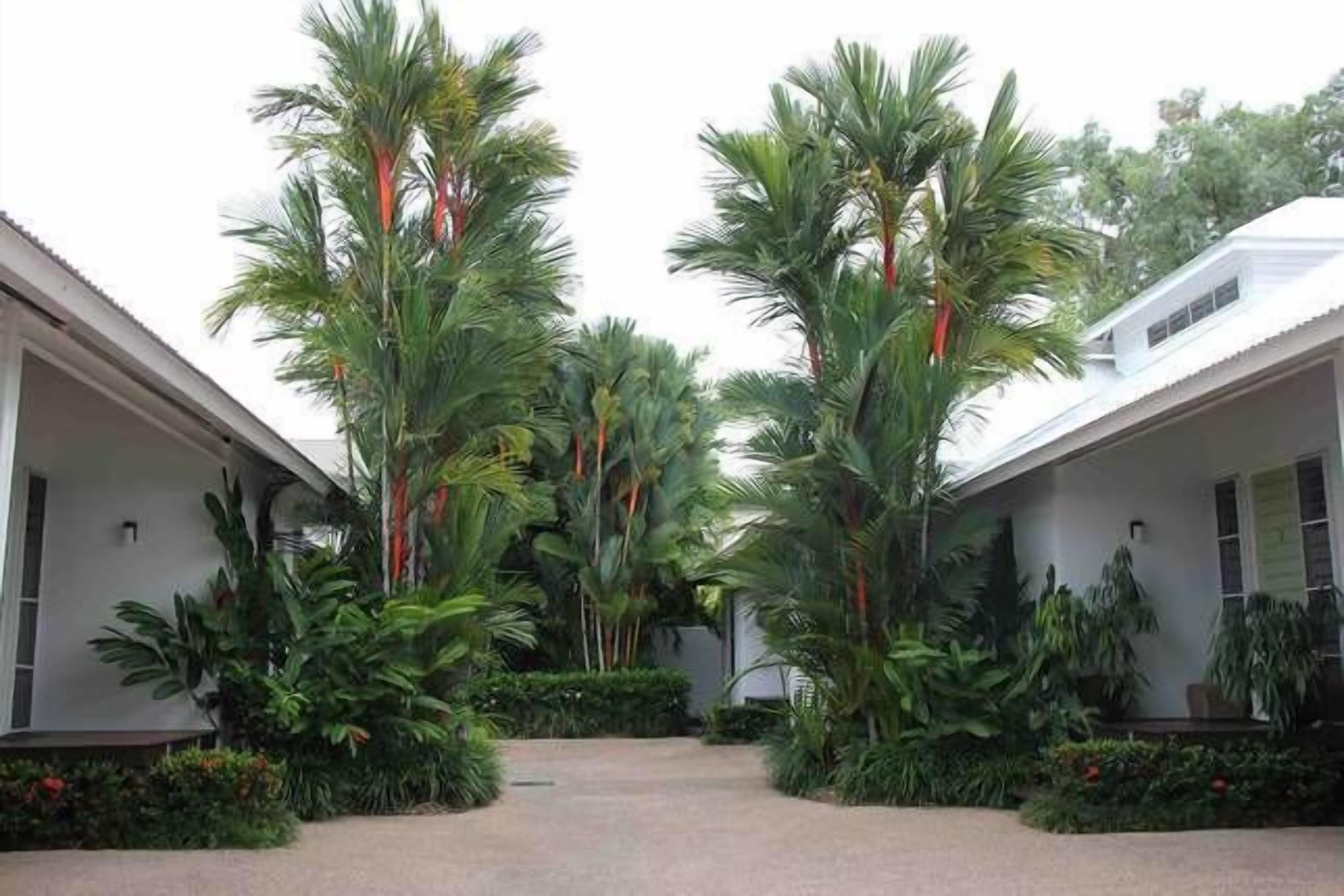 Driveway to villa
