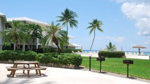 Un resort con piscina, palmeras y vista al mar.