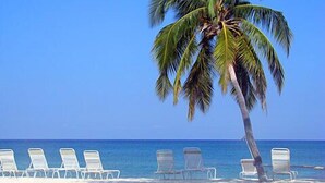 Una playa con sillas de descanso blancas y una palmera.