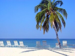 على الشاطئ، كراسي للتشمس، مناشف للشاطئ