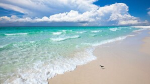 Une plage à l’eau turquoise et limpide, un rivage sablonneux et un oiseau sur le sable.