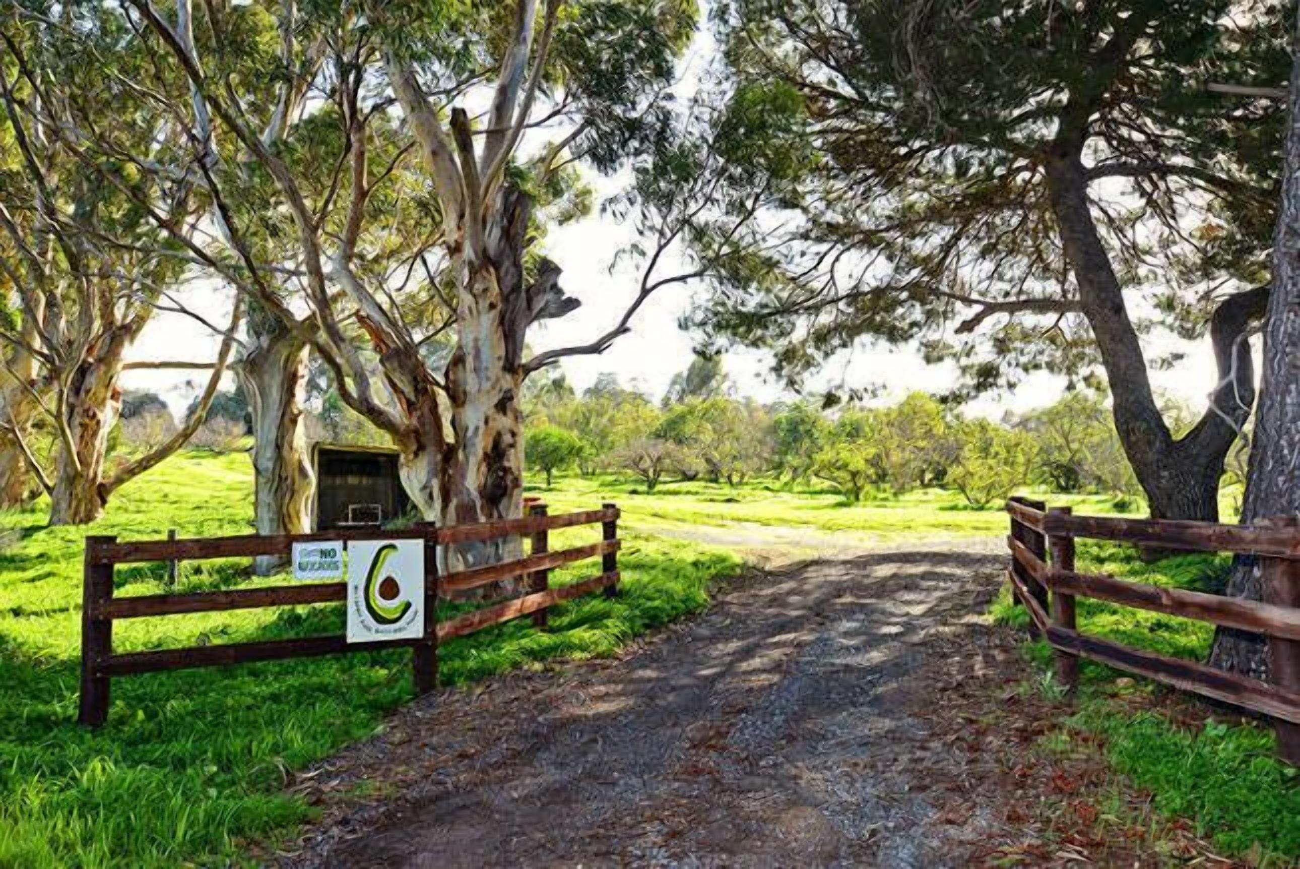  Avocado Cottage minimum 2 night stay.\nTariff is 1 or 2 guests using King Room — image 9