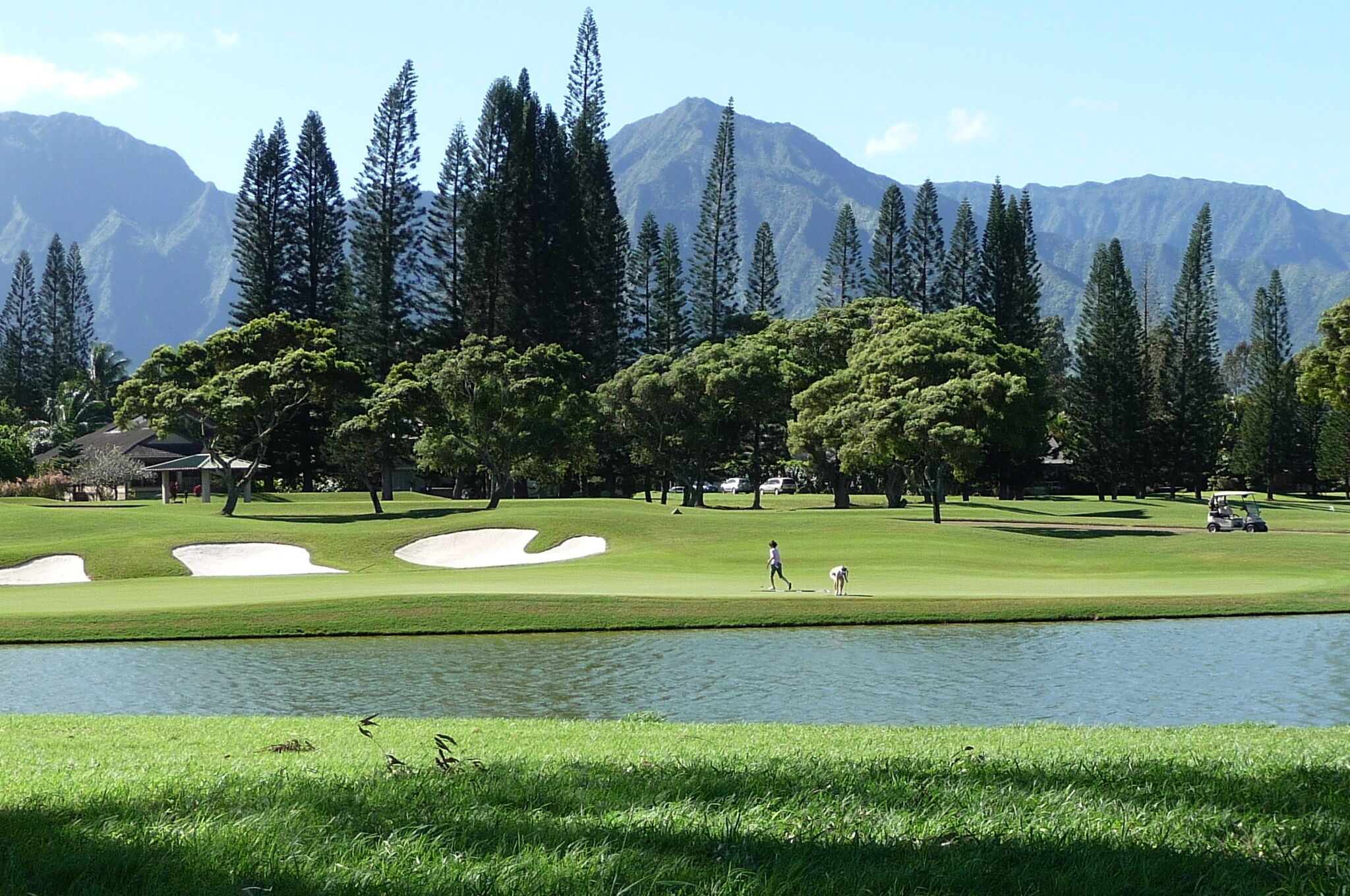 A golf course with a lake, trees, and mountains in the background.