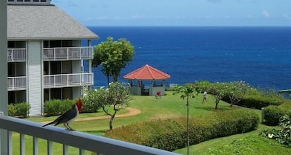 Prime Oceanfront End Unit--View--Family-friendly Cliffs Resort at Bargain Rates