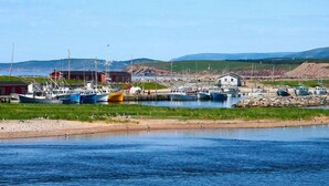 Un port avec des bateaux, un petit bâtiment et une zone herbeuse.