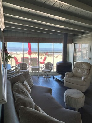 TV, fireplace, DVD player, books