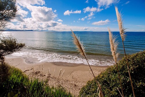 Beachfront location with seaviews, perched on park like grounds