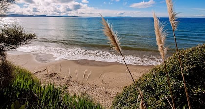 Beachfront location with seaviews, perched on park like grounds