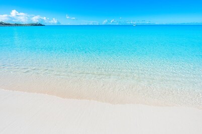 Palm Jewel - Luxury villa, private outdoor oasis w/pool, walk to SAPODILLA BEACH