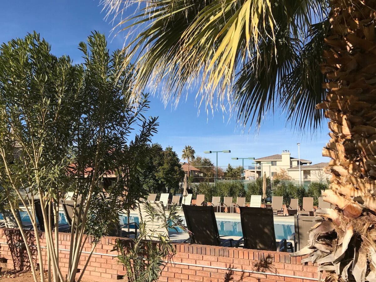 A poolside area with lounge chairs, a brick wall, and palm trees.