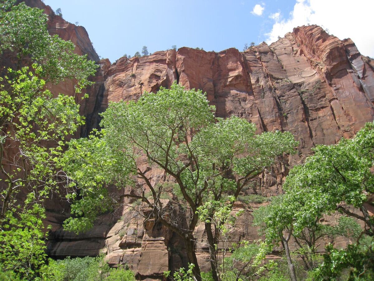 Une formation rocheuse naturelle, avec des arbres au premier plan.