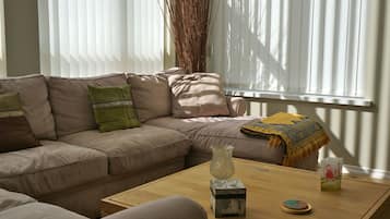 Smart TV, chimenea, reproductor de DVD y biblioteca musical