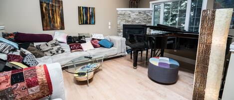 TV connectée, cheminée, jeux vidéo, chaîne hi-fi