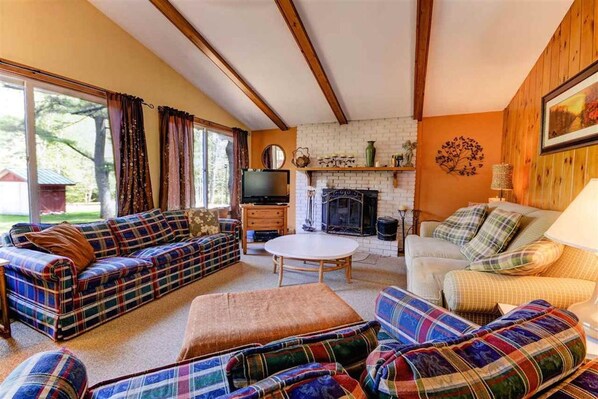 Télévision, cheminée, lecteur de DVD, livres