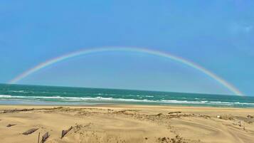 On the beach, sun loungers