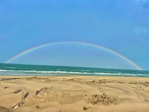 Plage, chaises longues