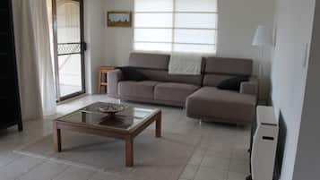 TV, fireplace, DVD player, books