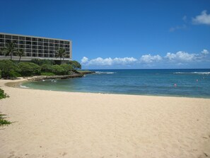 Une plage avec une eau d’un bleu limpide, une rive sablonneuse et un bâtiment doté de grandes fenêtres, avec des palmiers en arrière-plan.