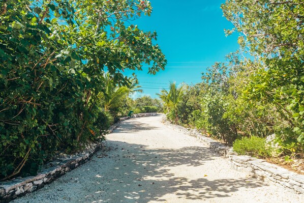 A paved pathway flanked by dense greenery and a stone wall, leading towards a body of water.