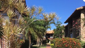Un sentiero conduce a un edificio con facciata in pietra, circondato da varie piante e un cielo azzurro intenso.