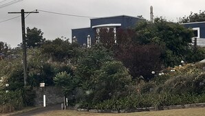 A residential area with two modern houses surrounded by lush vegetation and a stone wall. - Seabury Lookout – Elevated Bach Living with Expansive Outlooks (Foxton Beach)