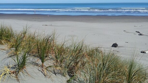 A beach with sand, grass, and the ocean. - Seabury Lookout – Elevated Bach Living with Expansive Outlooks (Foxton Beach)
