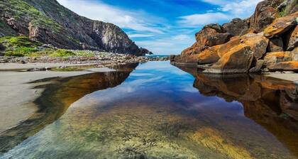 Deep Creek Homestead