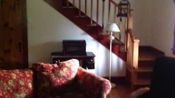 TV, fireplace, books