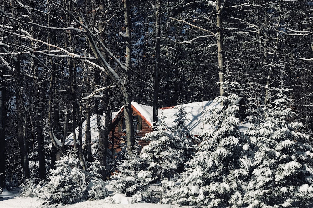 Beautiful Cabin for an affordable Getaway!