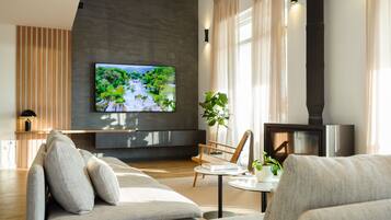 Smart TV, fireplace, video games, DVD player