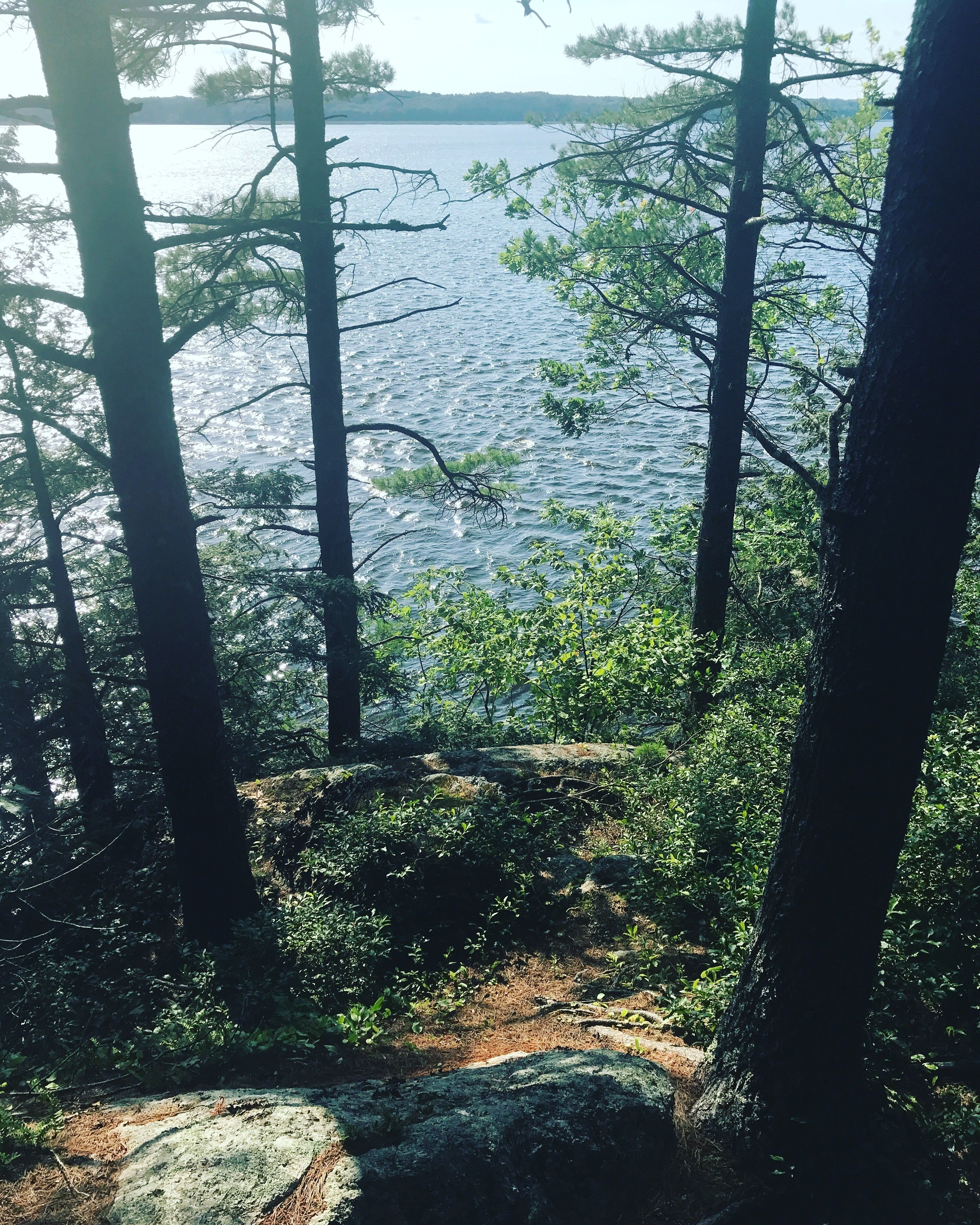 Vue depuis l’hébergement