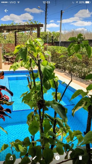 Pool - House with 4 Full Bedrooms and Private Pool (Gravatá)