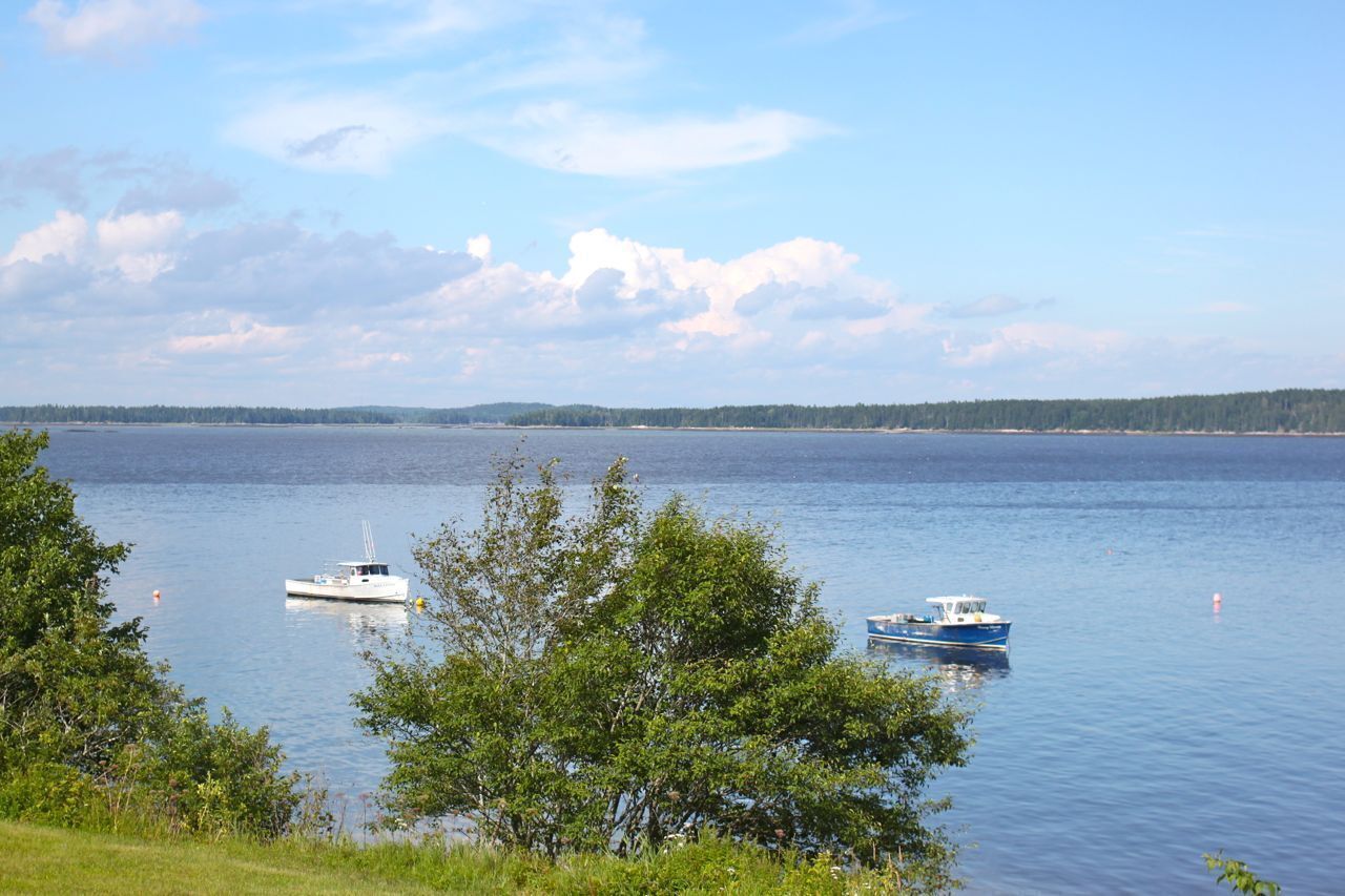 View from deck up the river
