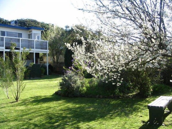 Un jardín bien cuidado con un banco, una casa blanca de techo azul y un árbol cubierto de flores blancas.