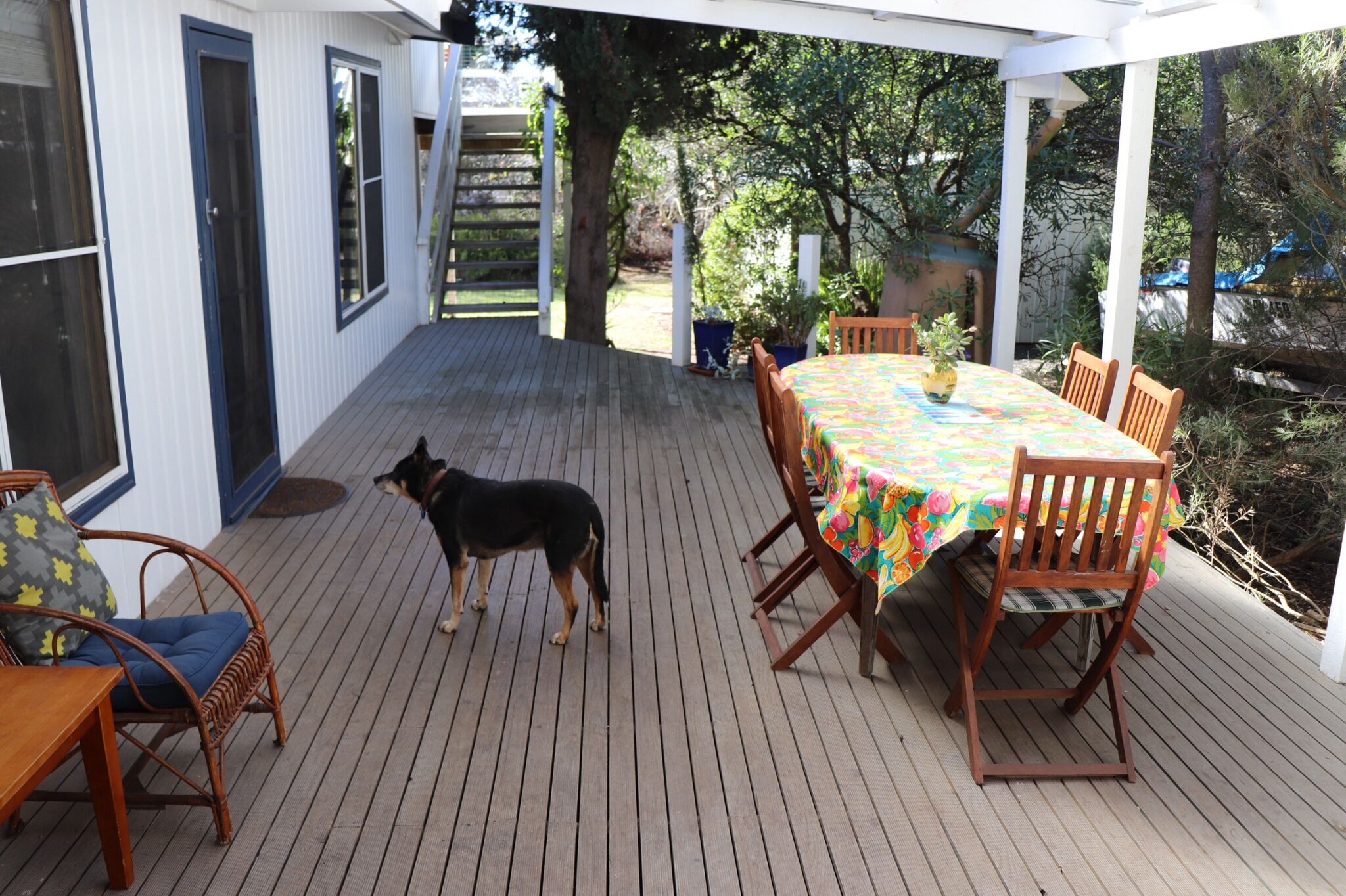 A covered patio with a wooden deck, a table with chairs, and a dog standing near the table.