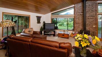 Smart TV, chimenea, reproductor de DVD y libros