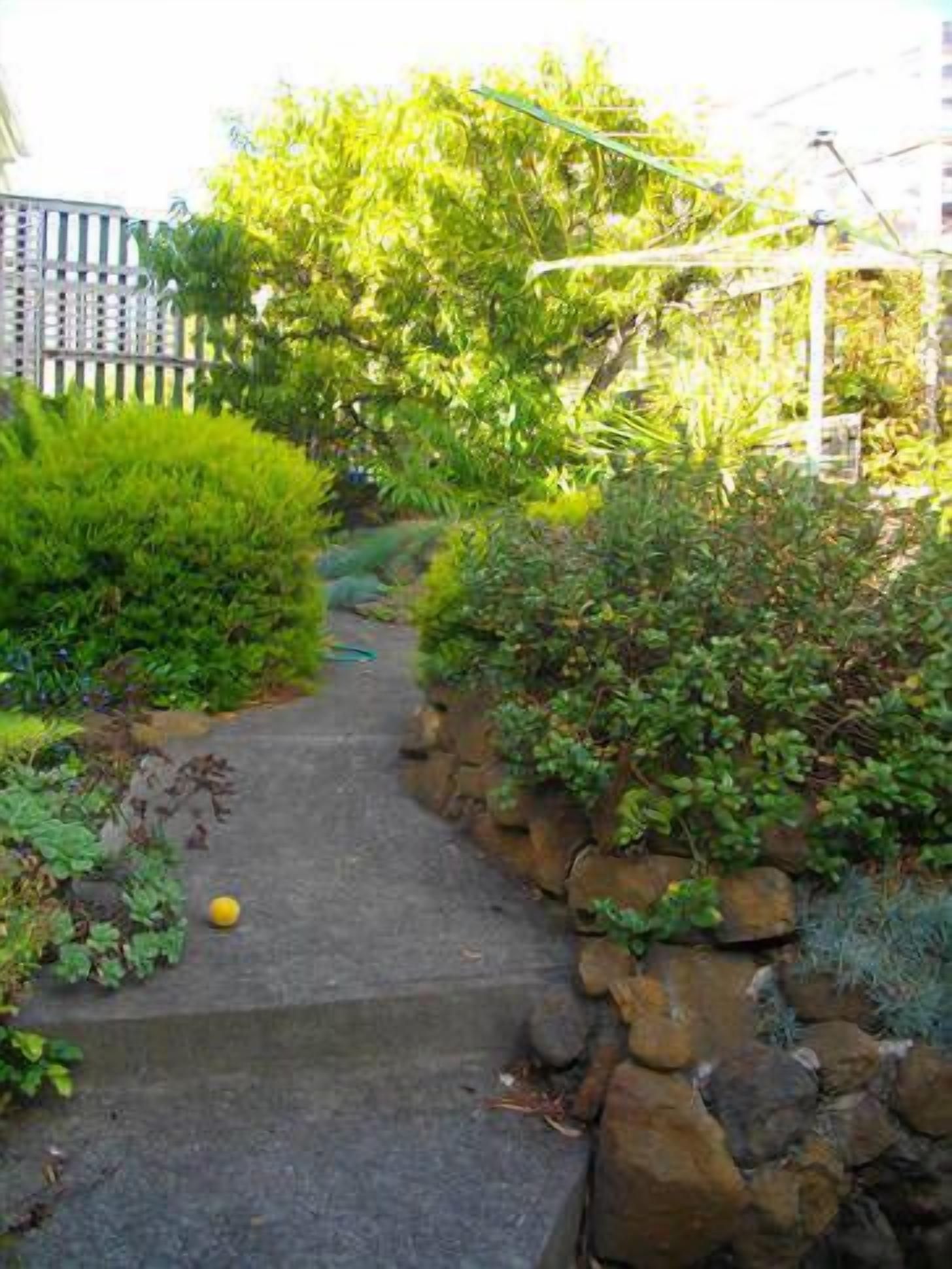 Shack on the Edge Waterfront — image 12