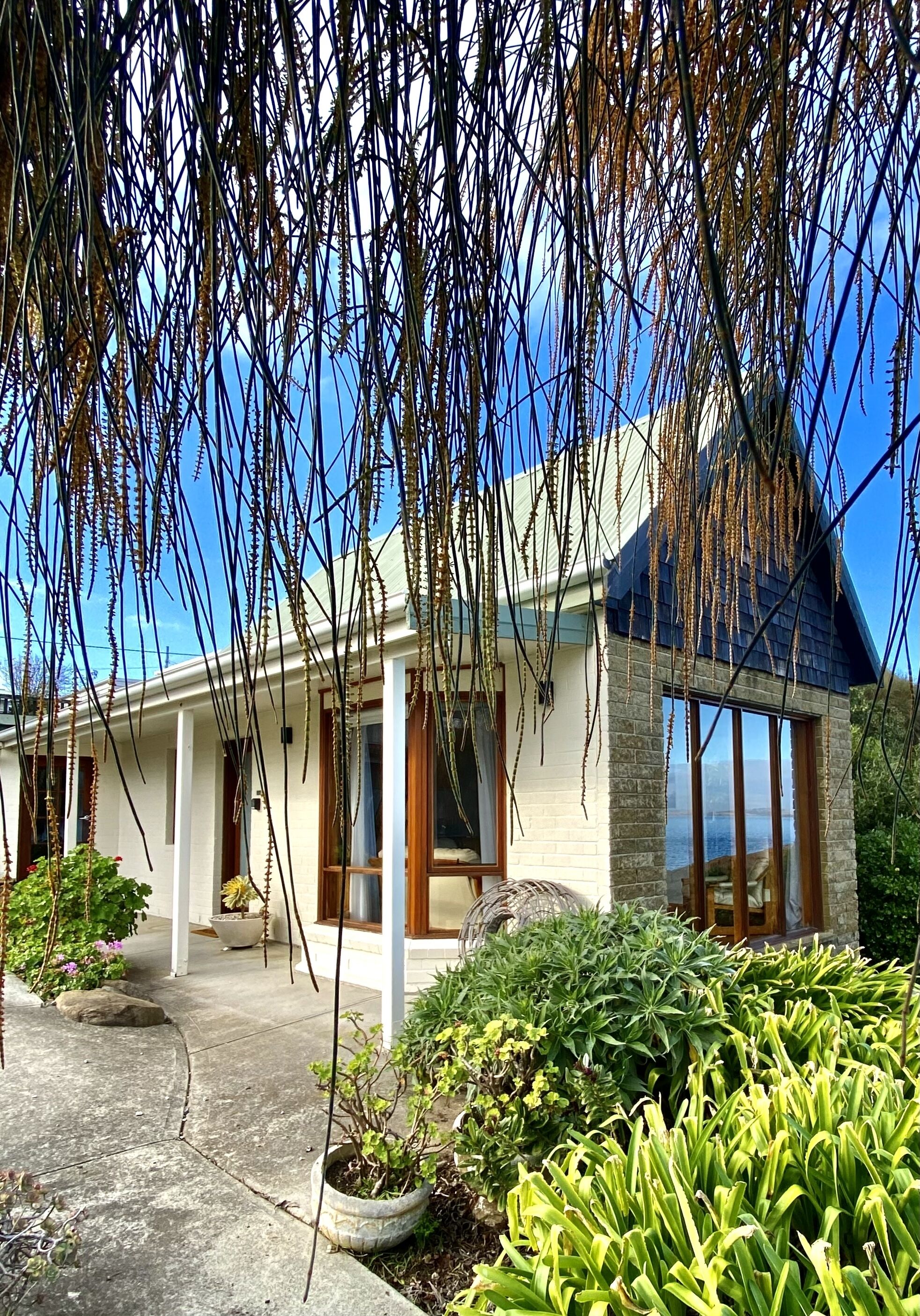 Shack on the Edge Waterfront — image 13