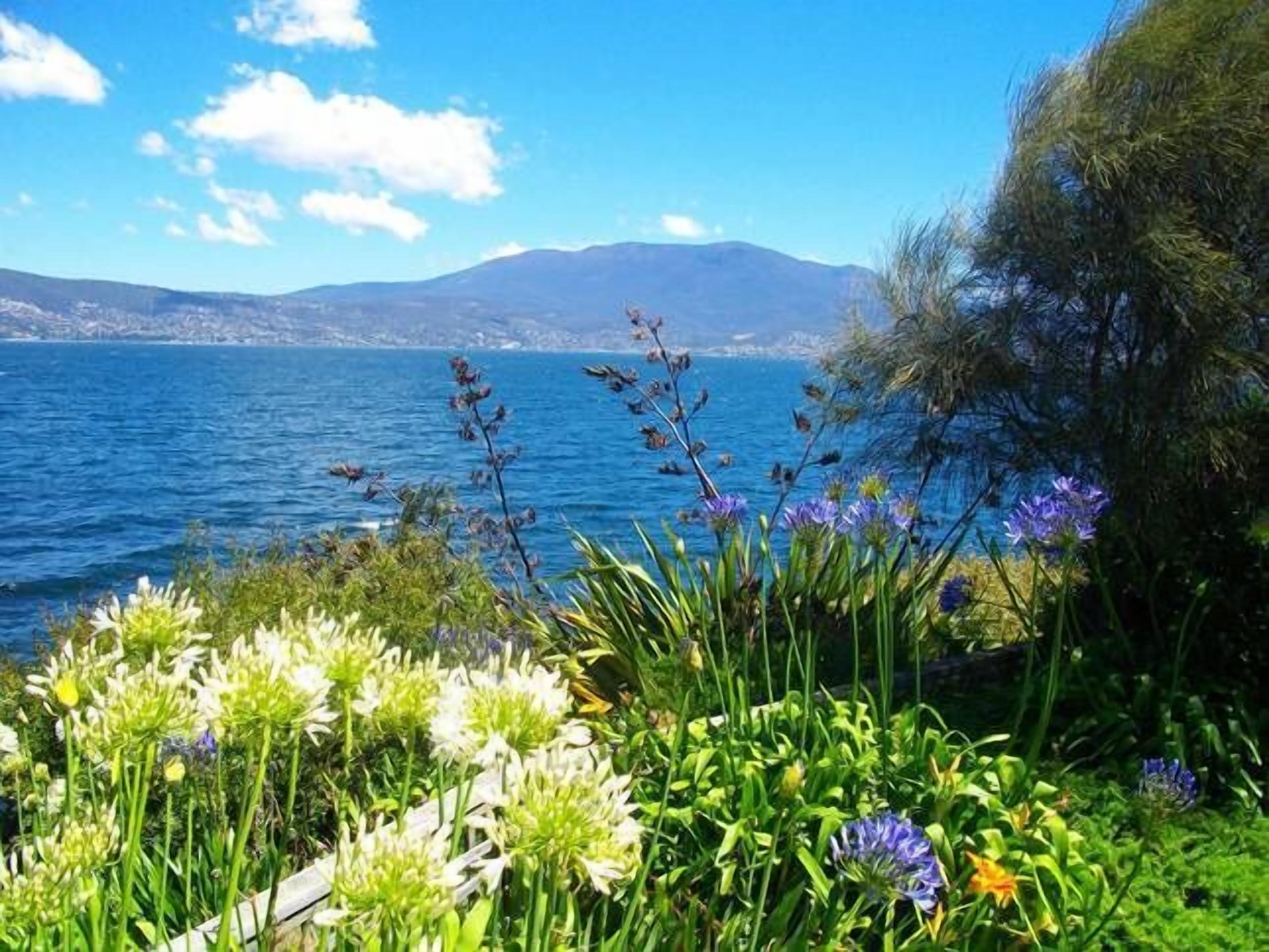 Shack on the Edge Waterfront — image 8